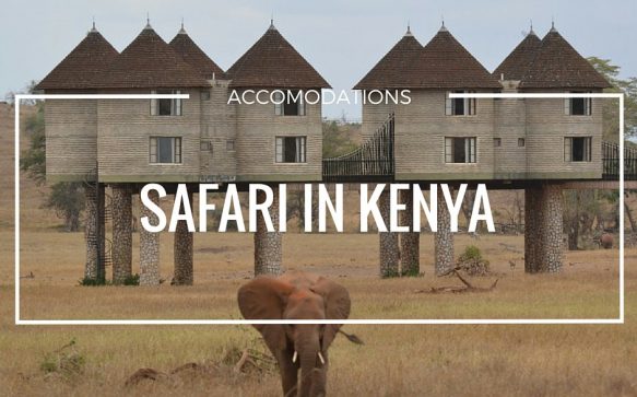 Safari: accomodations degne di nota