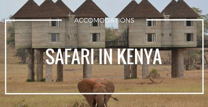 Safari: accomodations degne di nota
