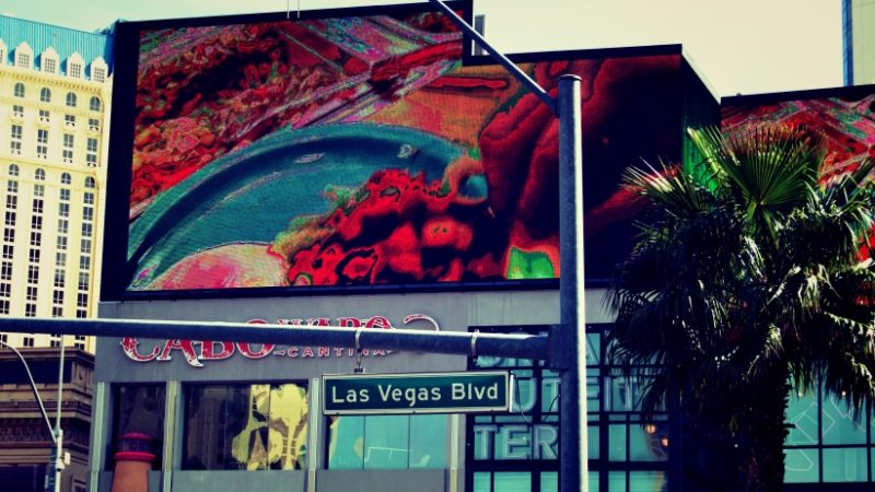 las vegas bld Las Vegas