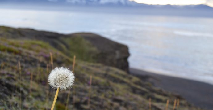 Islanda: primi appunti di strada