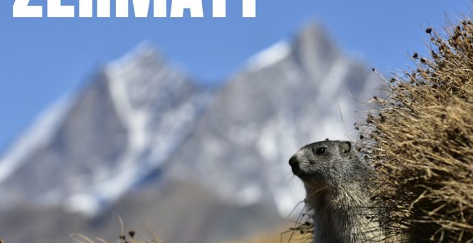 Zermatt: toccare il cielo con un dito