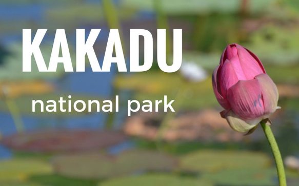 Kakadu: sogno o realtà?