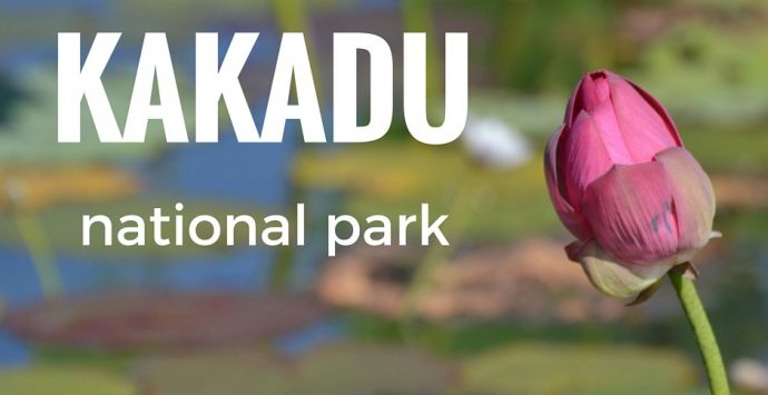 Kakadu: sogno o realtà?