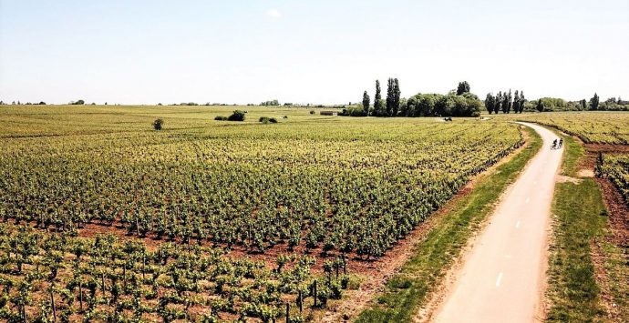 Lungo la strada dei vini: l’itinerario del mio viaggio in Borgogna